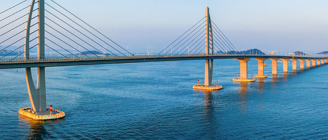 Terms and Conditions